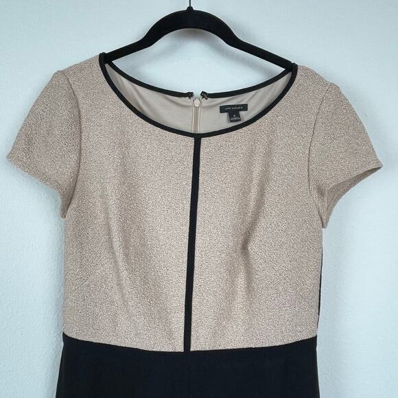 Ann Taylor Short Cap Sleeve Shift Colorblock Tan Black Textured Dress Size 4 - Picture 2 of 6